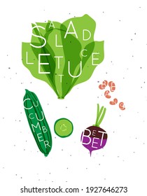 Set of color vegetables with inscription salad letuce, cucumber, beet, beans drawing in minimalist style