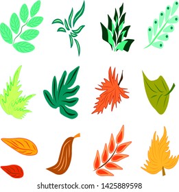 Set of colored abstract herbal elements. 