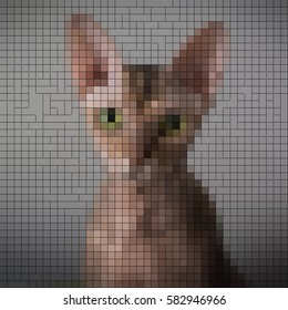 A set of colored abstract vector patterns: Fantasy around cats.