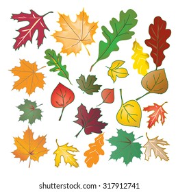 Set of colored autumn leaves