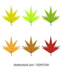 Set of colored autumn maple leaves.