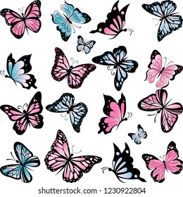 set of colored beautiful butterflies, insect, vector