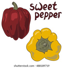 Set of colored bell peppers, vector illustration