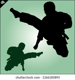 Set Colored belts for martial arts kimono, dogi judo, taekwondo, hapkido, karate.