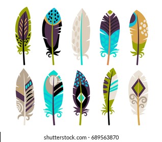 Set of colored bird feathers 