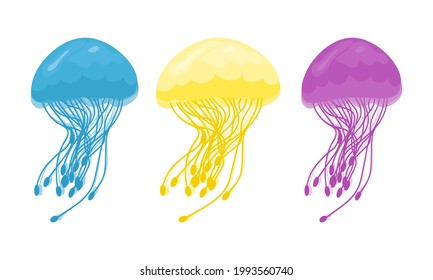 Set of colored bright jellyfish isolated on white. Vector flat illustration.