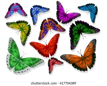 A set of colored butterflies. Barrel vector. A set of colored butterflies. Different butterflies. Vector illustration. Abstratnye Isolated butterfly on a white background