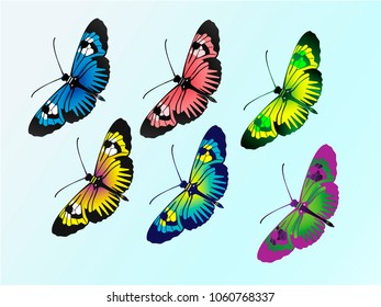 set of colored butterflies, illustration