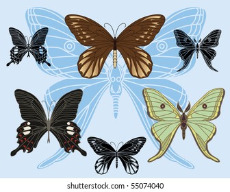 set of colored butterflies and stencils. vector illustration