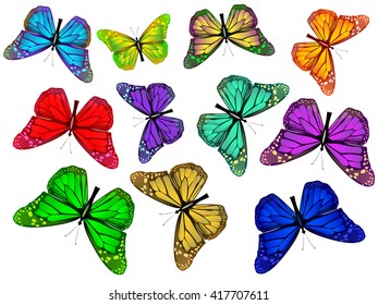 Set colored butterfly. Isolated colored butterfly. Moths fly vector. Beautiful butterfly vector illustration. Isolated butterfly set
