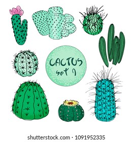 Set of colored cactuses, hand drawn vector illustration. outline sketch. Succulent collection.