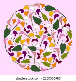A set of colored calla lilies in a circle. Vector graphics
