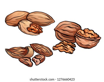 Set of colored cartoon nuts. Kit of walnut, pecan and almond. Objects separate from the background. Vector element for menus, recipes, cards and your design.