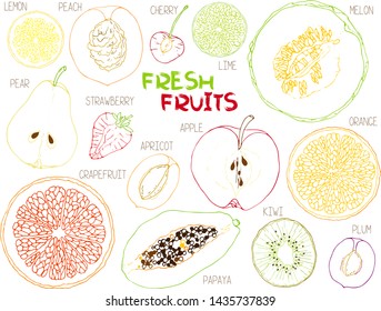 A set of colored contours of fruit slices: apple, pear, peach, apricot, plum, cherry, kiwi, papaya, orange, lemon, lime, grapefruit, melon, strawberry. Vector illustration, isolated on white.