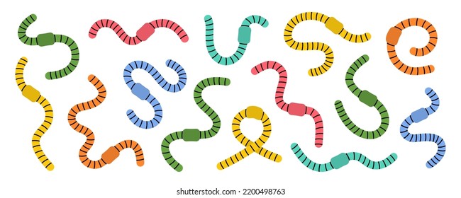 Set of colored curled earthworms. Compost earthworms line illustration. Terrestrial annelids worms. Invertebrate worms colored line banner.