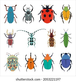 a set of colored different beetles, vector drawing, isolated on a white background
