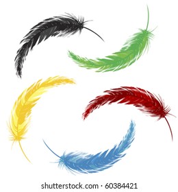 set of colored feathers