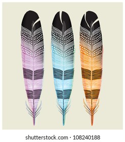 SET OF COLORED FEATHERS.  Vector illustration editable file. 