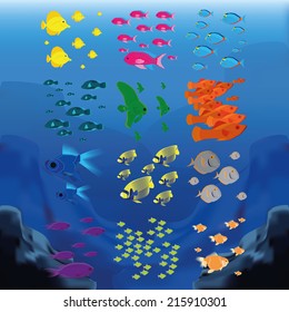 a set of colored fishes on an underwater background