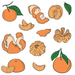Set Of Colored Flat Whole, Half, Sliced, Peeled Tangerines On Branch With Leaves. Hand Drawn Vector Sketch Illustrations In Simple Doodle Line Style. Winter Citrus Fresh Fruit, Juice, Vitamins Healthy