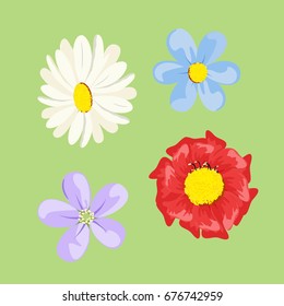 Set of colored flowers