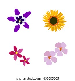 Set of colored flowers on a white background, Vector illustration