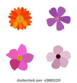 Set of colored flowers on a white background, Vector illustration
