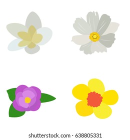 Set of colored flowers on a white background, Vector illustration