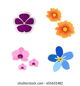 Set of colored flowers on a white background, Vector illustration