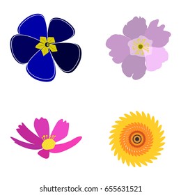 Set of colored flowers on a white background, Vector illustration
