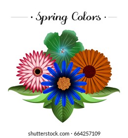 Set of colored flowers on a white background, Vector illustration