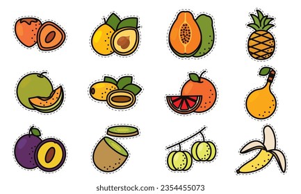 Set of colored fruit icons Vector