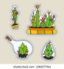 Set of colored funny cute cartoon cactus patch with black contour. Cactuses with flowers in terrariums and pots. Design elements for tag, label, sticker, icon, badge, t-shirt. Vector illustration.