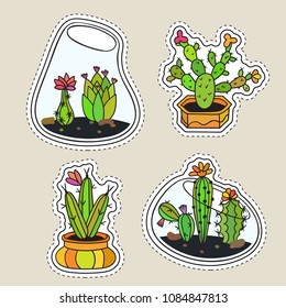 Set of colored funny cute cartoon cactus patch with black contour. Cactuses with flowers in terrariums and pots. Design elements for tag, label, sticker, icon, badge, t-shirt. Vector illustration.