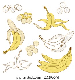 Set of colored and hand drawn bananas on the white background. Isolated icon.
