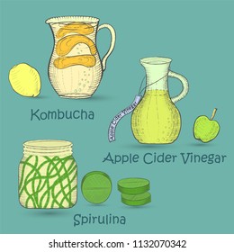 Set with Colored Hand Drawn Healthy Supplements such as Kombucha made with Scoby and Lemon, Apple Cider Vinegar and Apple, Spirulina Algae and Pills. Hand Drawn Etching Vector Illustration