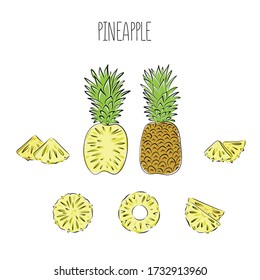 Conjunto de piñas coloreadas y dibujadas a mano sobre el fondo blanco. Icono aislado. Ananas de ilustración vectorial. La fruta dulce.