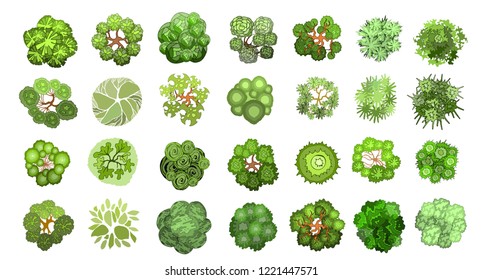 Set of colored hand drawn stylized top view trees and plants. Graphic, isolated on white. Vector illustration. Elements for architecture and landscape design projects.