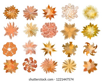 Set of colored hand drawn stylized top view autumn trees and plants. Graphic, isolated on white. Vector illustration. Elements for architecture and landscape design projects.