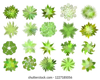 Set of colored hand drawn stylized top view trees and plants. Graphic, isolated on white. Vector illustration. Elements for architecture and landscape design projects.
