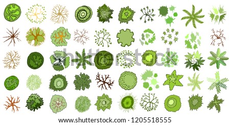 Set of colored hand drawn stylized top view trees and plants. Graphic, isolated on white. Vector illustration. Elements for architecture and landscape design projects.