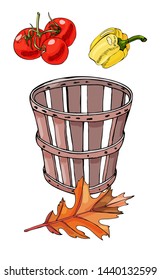 Set of  colored  hand drawn tomatoes, pepper, box and autumn leaf. Ink and colored sketch. Color elements isolated on white background.
