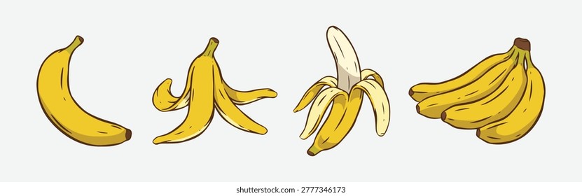 Set colored hand drawn vintage of various banana. A single whole banana, banana peel, peeled banana, and bunch of bananas. Vector illustration.