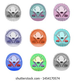Set of colored hedgehogs on a white background.