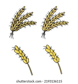 A set of colored icons, a bunch of ears, a ripe ear, rye cereals, vector cartoon illustration on a white background