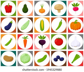 Set Colored Icons Vegetables White Circle Stock Vector (Royalty Free ...