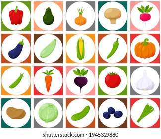 A set of colored icons with vegetables. A white circle on a square colored background. It can be used as a seamless pattern for packaging and textiles. Bright vector elements in a flat style.