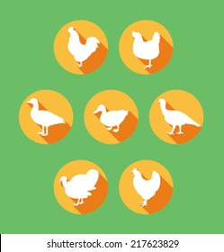Set of colored icons for website and mobile application. Flat design. Vector. Editable. Pets and food. Poultry.