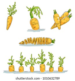 Set with colored images of carrot made in minimalism style