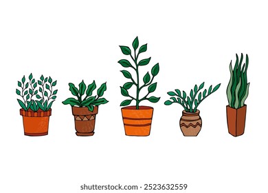 a set of colored indoor plants in pots, hand-drawn in a cartoon style.